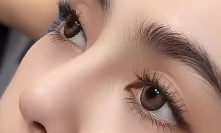 Image 1: Transform Your Look with Diverse Eyelash Extensions