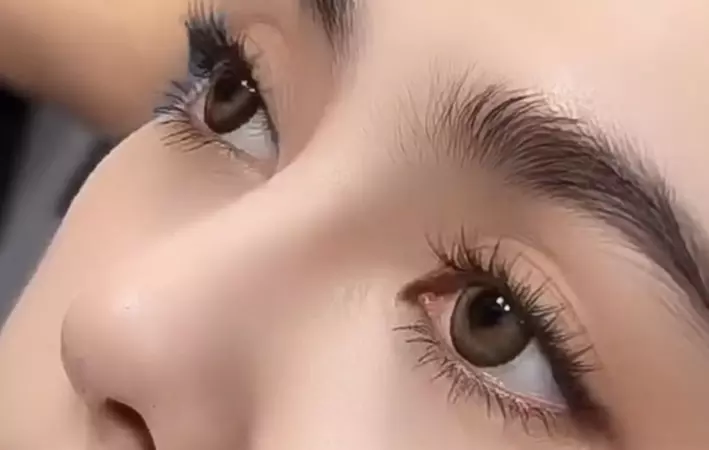Transform Your Look with Diverse Eyelash Extensions