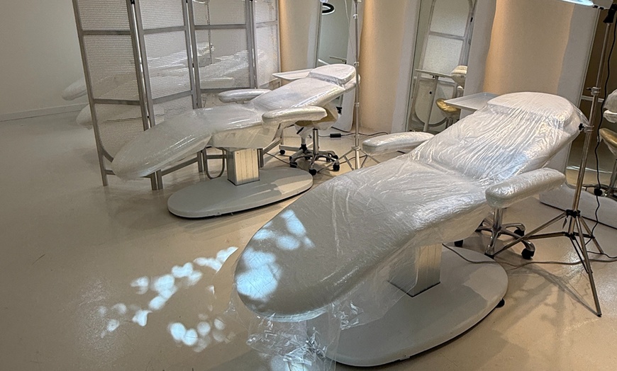 Image 2: Customized Care Awaits: Fat Melting Meso Therapy: Small or Large Area