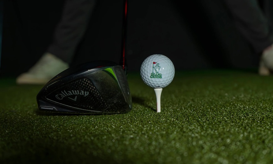 Image 6: Virtual Golf Fun for up to 5 Players, Monday to Friday or Anytime