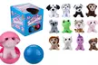 1, 2 ou 4 peluches "Surprise" en capsule - Second Medium