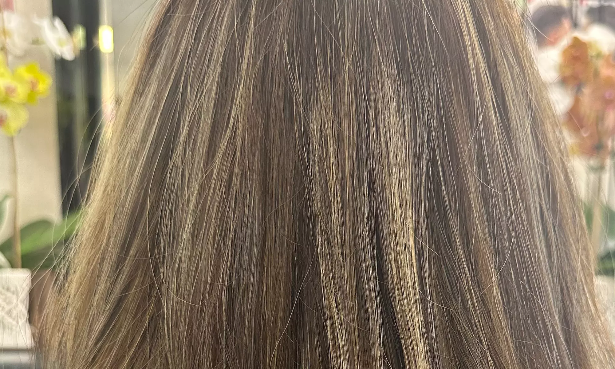 Haircut w/ Condition, Blow-Dry & Optional Single Process or Highlights