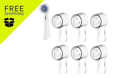 6Pcs: Transparent - 718010-CLE