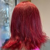 Image 2: Transform w/ One Process All Over Color, Shampoo, Conditioner, & More 