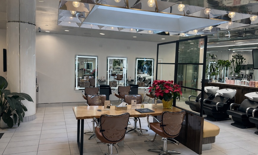 Image 8: Balayage Brazilian Blowout and More at Charles Ifergan Salon Oakbrook