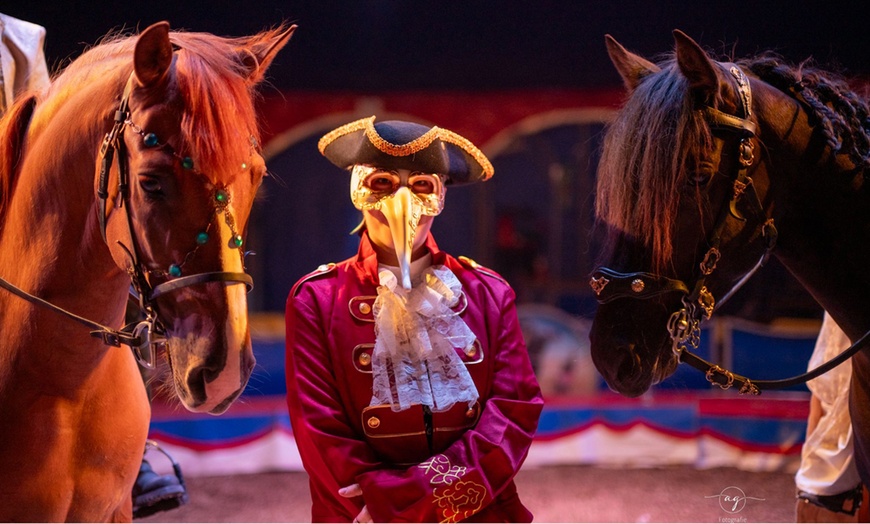 Image 8: Sitzplatz-Ticket für "Traumwelten – Die Pferdeshow" im Dezember