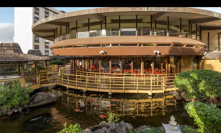 Koi Pond Oasis