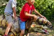 Tickets to The Lost Kingdom – Dinosaur Adventure for Child, Adult, or Family (Up to 38% Off) - Image 6
