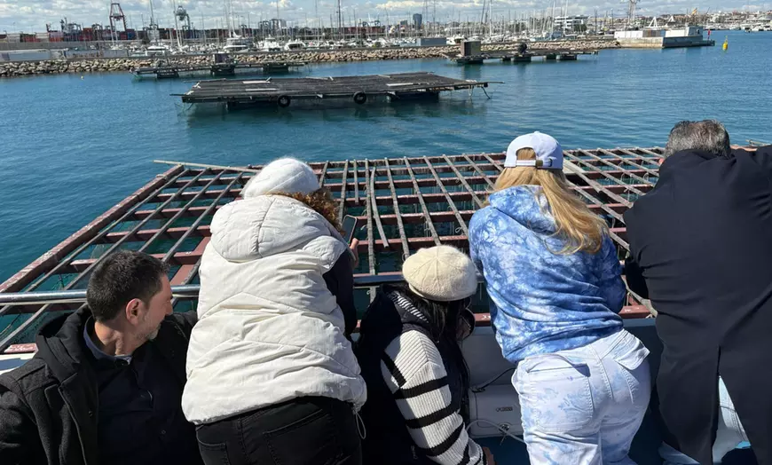 Image 7: Salida en catamarán con degustación de mejillones y una bebida para 1