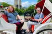 Explore Central Park in Style: 25-Min or 45-Min VIP Carriage Ride At Central Park Carriage Tours (Up to 15%Off) - Second Medium