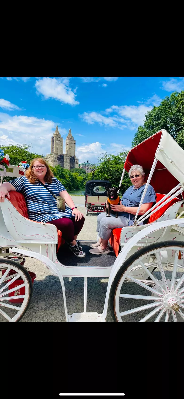 Explore Central Park in Style: 25-Min or 45-Min VIP Carriage Ride