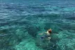 Premium Snorkeling Adventure for 2, 4or 6 at Salty Fresh Fishing Charters (Up to 23%Off) - Second Medium