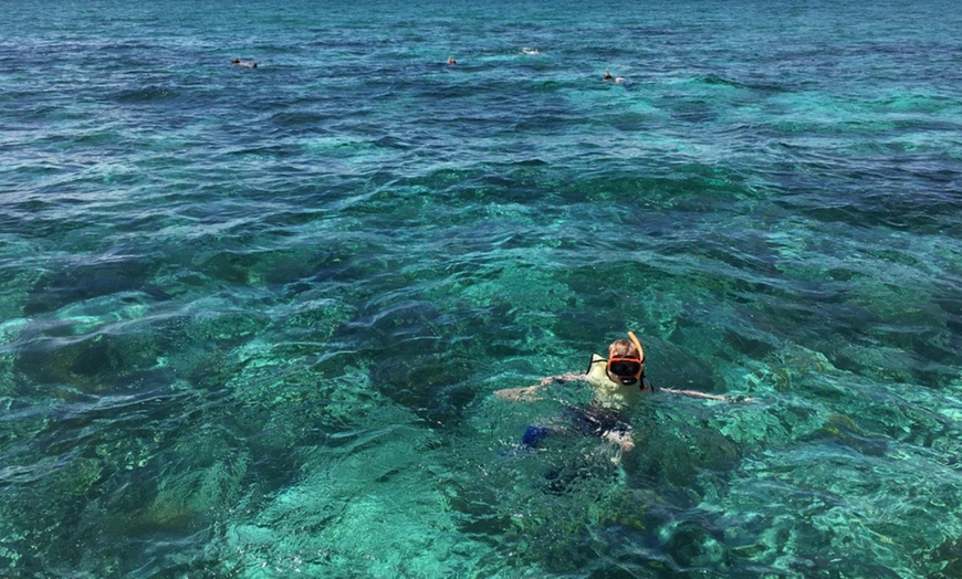 Image 3: Premium Snorkeling Adventures with Spearfishing and Lobster Hunting
