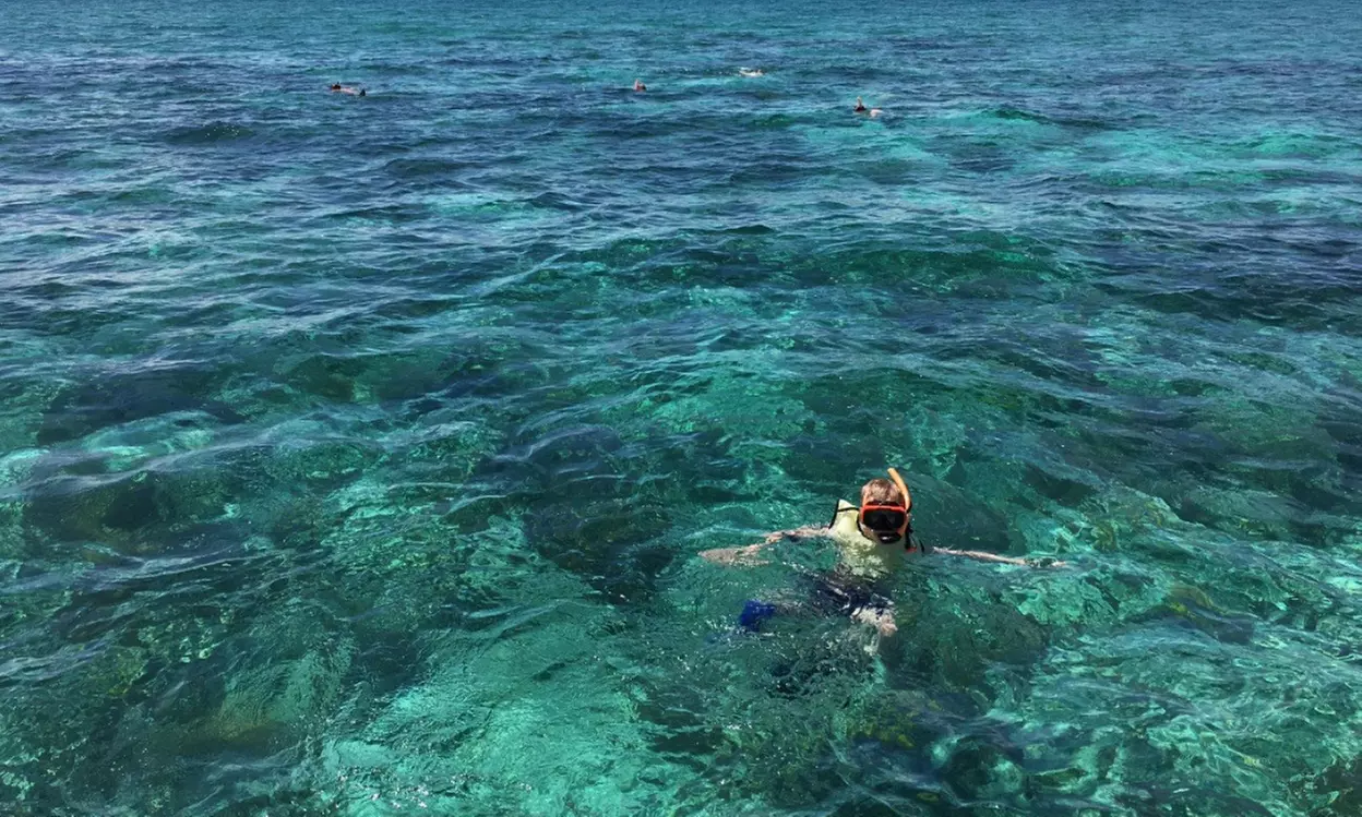 Premium Snorkeling Adventures with Spearfishing and Lobster Hunting