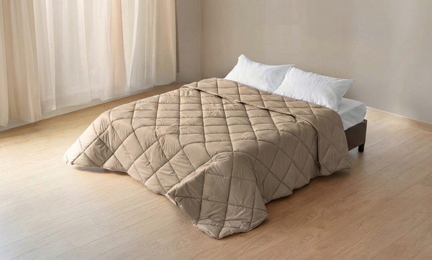 Image 4: Trapunta invernale matrimoniale in velluto