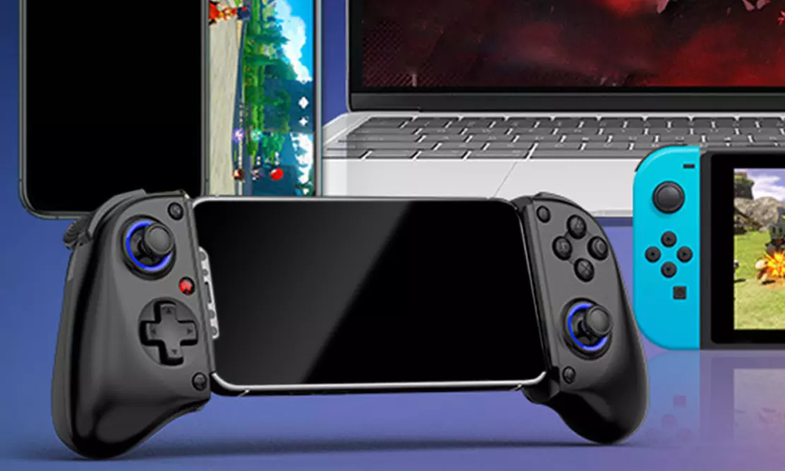 BSP-D11 Gaming-Controller kompatibel mit PC und Nintendo Switch