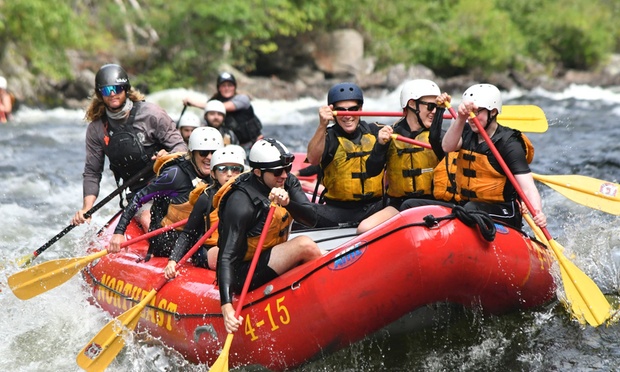 What to expect media