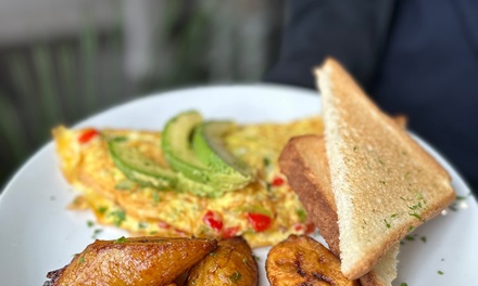 $20.00 Groupon - Aurora's Pizza