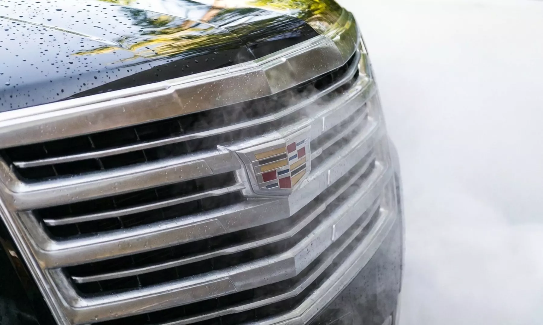 Get Eco Basic, EcoLux, EcoElite, EcoVIP Plan: Interior, Exterior, Carpet Shampoo, & More - Up to 50% Off