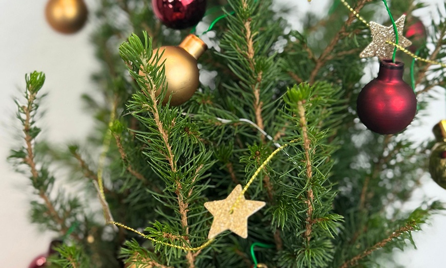 Image 8: Mini kerstboompje