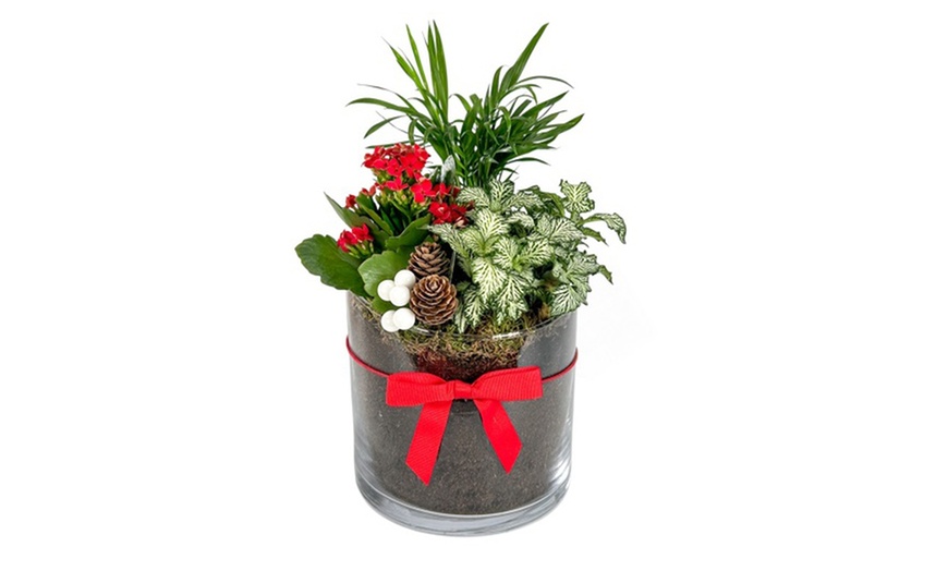 Image 2: Festive Trio Glass Bowl Arrangement