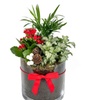 Image 2: Festive Trio Glass Bowl Arrangement