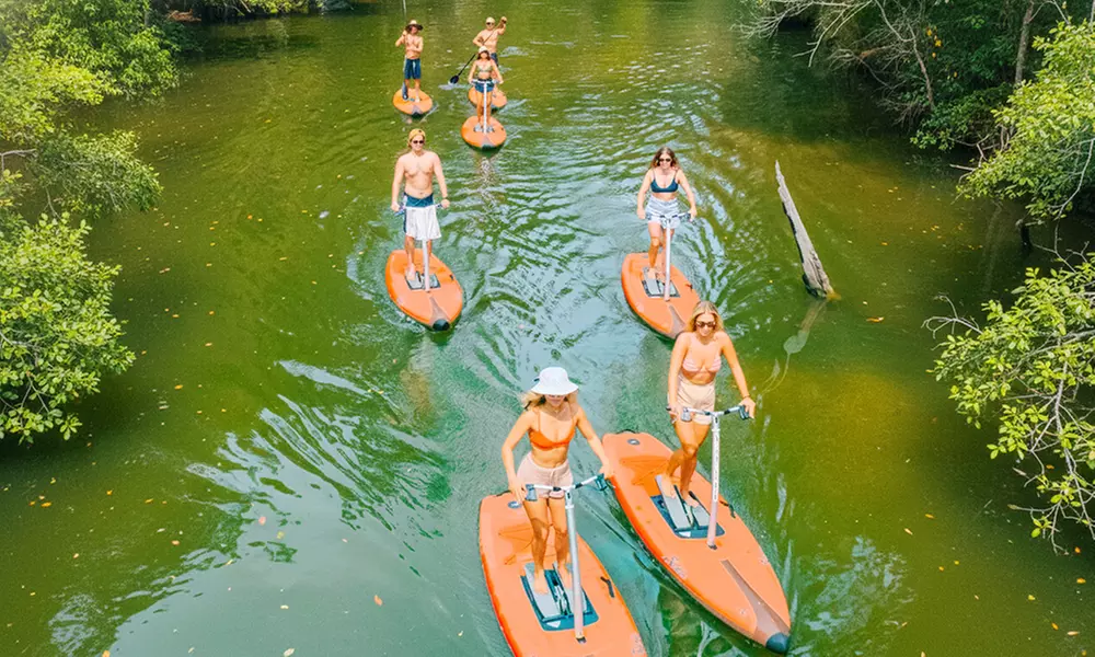 Ticket to Narrabeen Sup Creek Tour for Up to 11 People
