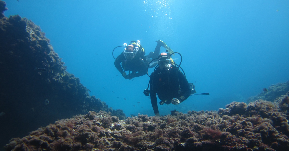 Experiencia de submarinismo para 1 o 2 personas en Mallorca