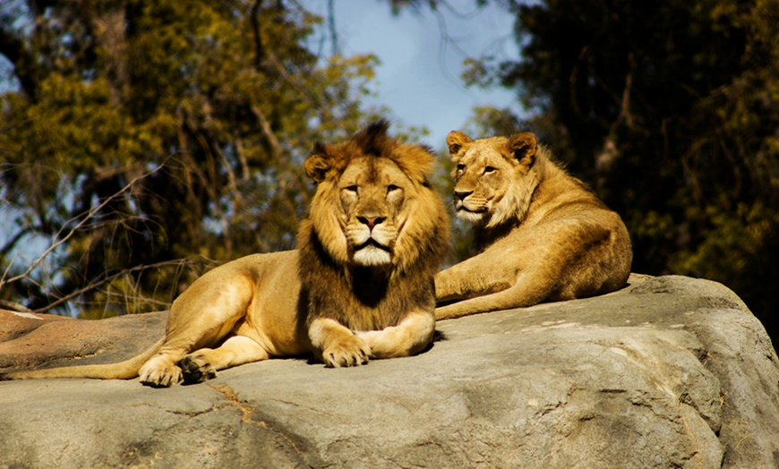 Image 11: Save on Theme Parks, & More with 6 or 9 Month Kids Pass Membership