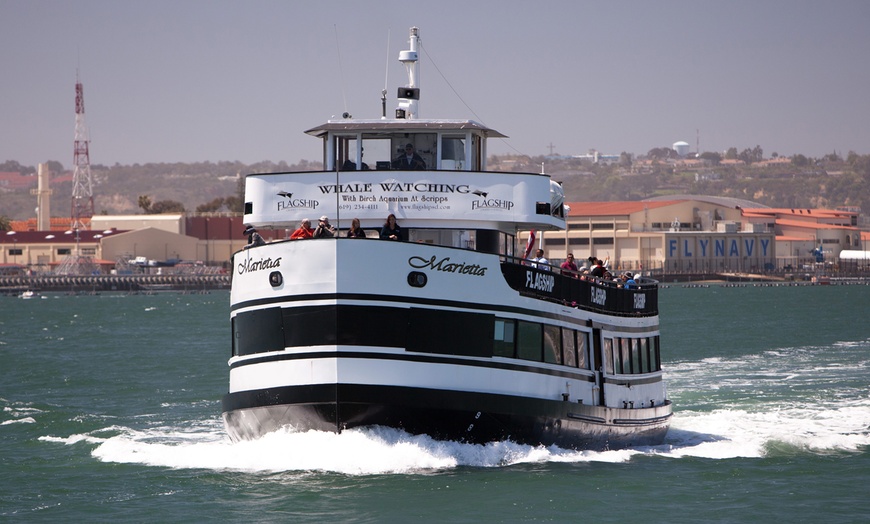 Image 4: Experience Mesmerizing Whale Watching Adventure on a Luxurious Cruise 