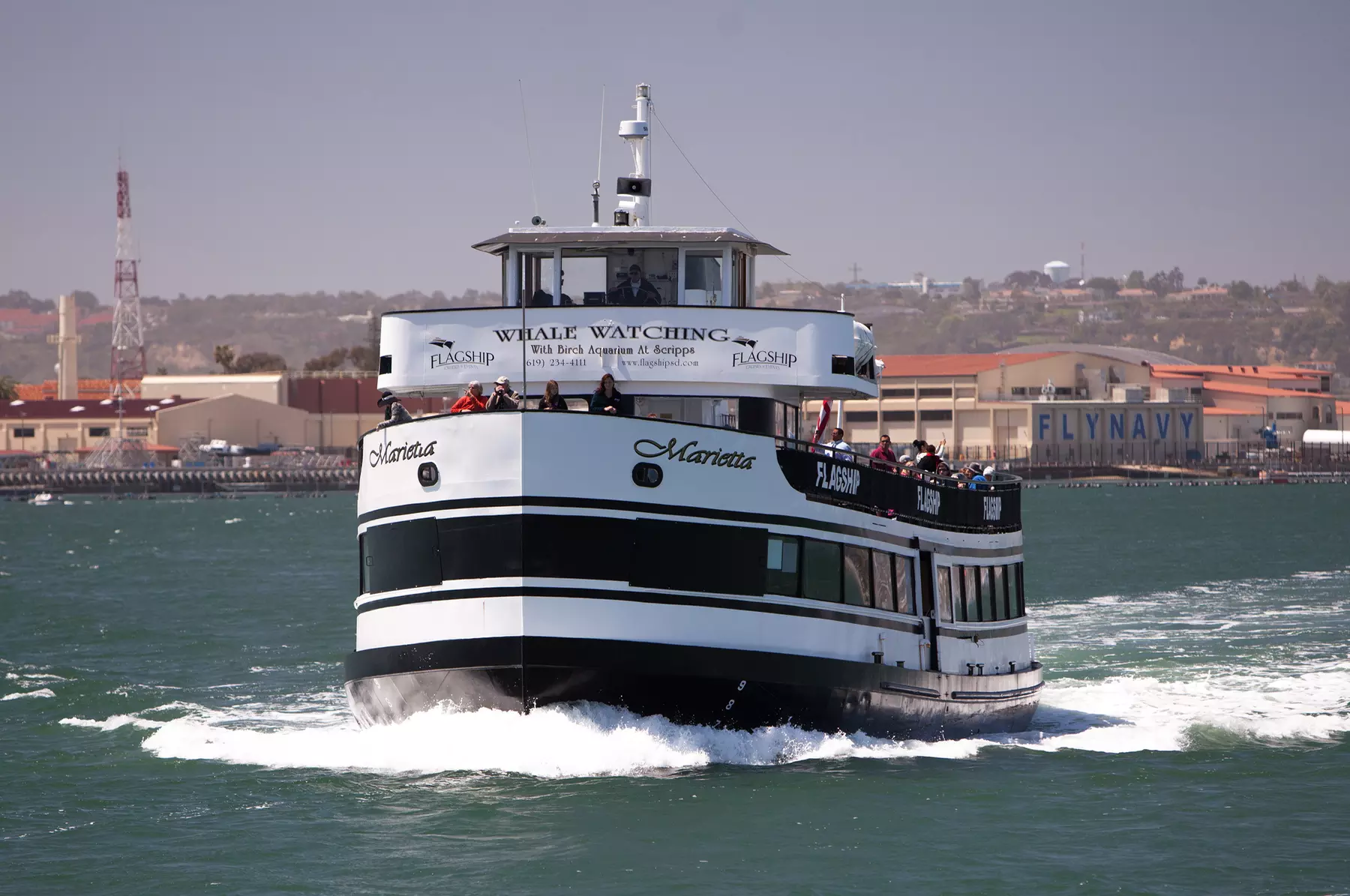 Whale Watching Cruise Deals & Discounts in San Diego