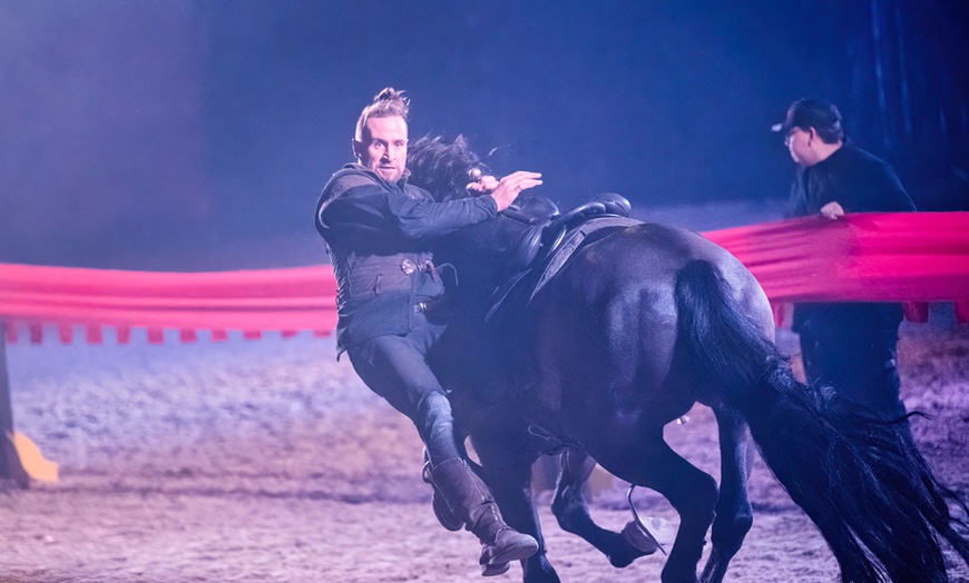 Image 7: Sitzplatz-Ticket für "Traumwelten – Die Pferdeshow" im Dezember