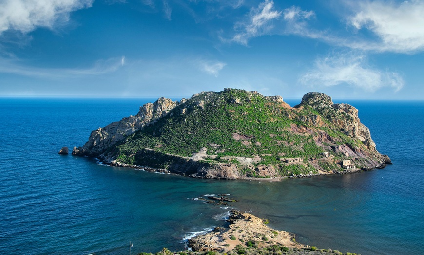 Image 7: Alquiler de embarcación para hasta 10 personas durante 4 u 8 horas