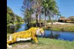 Set Out on Monster Truck Adventure Tour in Native Woodlands for Two Adults or Children (Up to 33% Off) - Second Medium