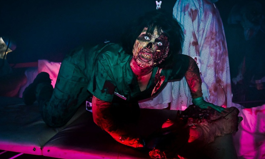 Image 5: Ticket für Eintritt ins "Halloween Horror House" vom 25.10.-01.11.2025