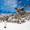 Image 6: Pass For One Adult to Award-Winning Snow Park in Dubai