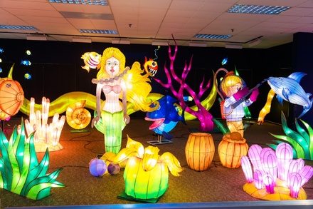 Admission to Illuminate Festival of Lights - For 1 - Illuminate Festival of Lights - Saint Paul, MN