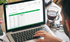 Microsoft Excel for Beginners