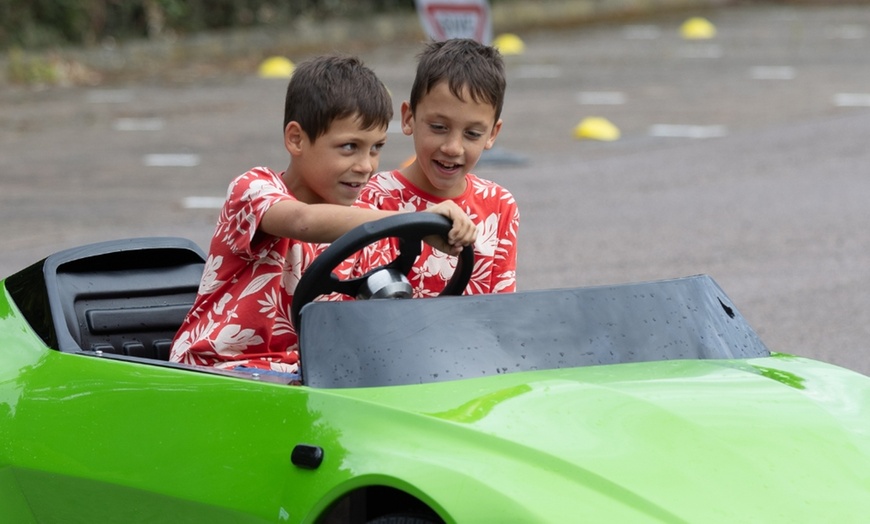 Image 4: 15-Minute Firefly Lesson