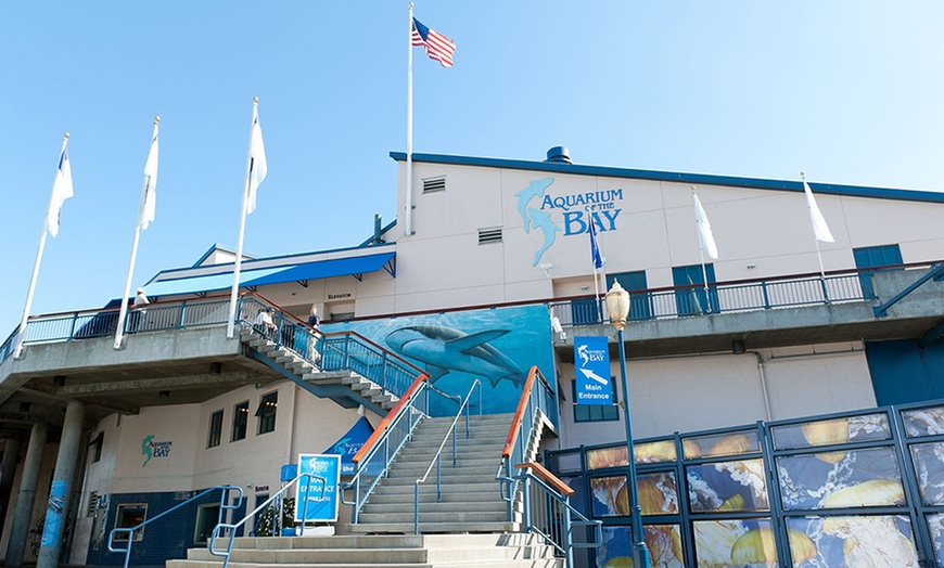 Image 20: Tickets to San Francisco Pier 39 Aquarium of the Bay 
