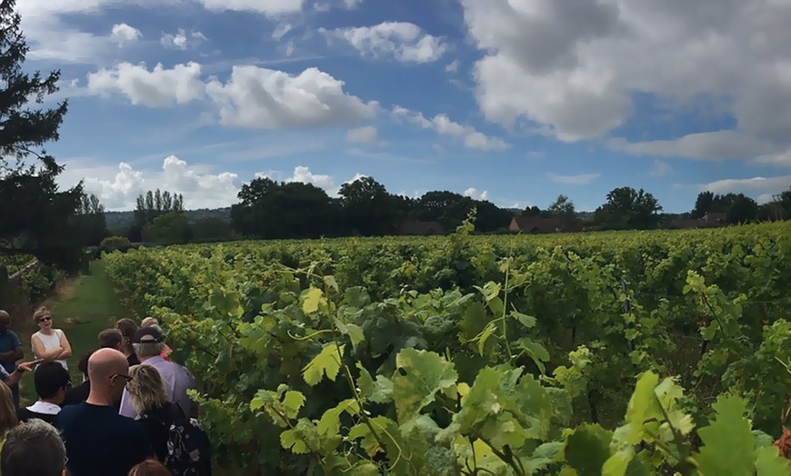 Image 2: Mid Summer Vineyard Tour, Wine Tasting and Ploughman's Meal