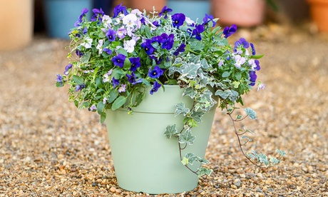 Groupon Unisex Lucena Matte Finish Stone Effect Planter: Lucena Matte Finish Pot Abbey Stone/Two