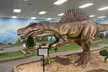 Enjoy 18 Holes of Mini Golf for 1, 2 or 4 at Ricks Prehistoric Mini Golf - Up to 30% Off - Second Medium