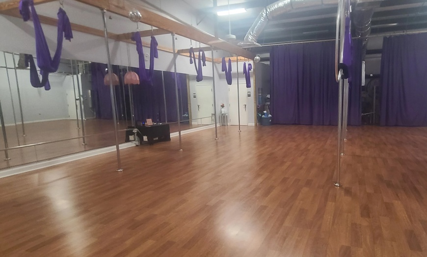 Image 7: 1 or 5 Women Only Fitness Classes including Pole Yoga and Aerial