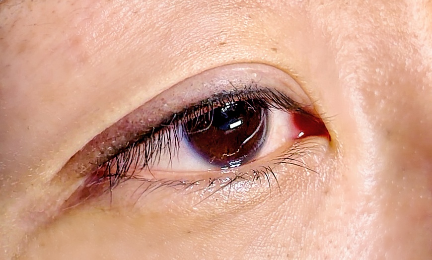 Image 5: Permanent Makeup nano Brows Powder Brows and Lip Blush