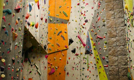 Kids (Under 12) Indoor Climbing Day Pass (Gear Included) - Phoenix Rock Gym