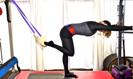 1 Private Classical Pilates Reformer Class - The Science of Excellence Los Angeles, CA	