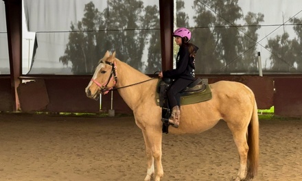 One Intro lesson to Horses and Riding (1 hour) - CBC Equine Therapeutic Riding - Herald, CA