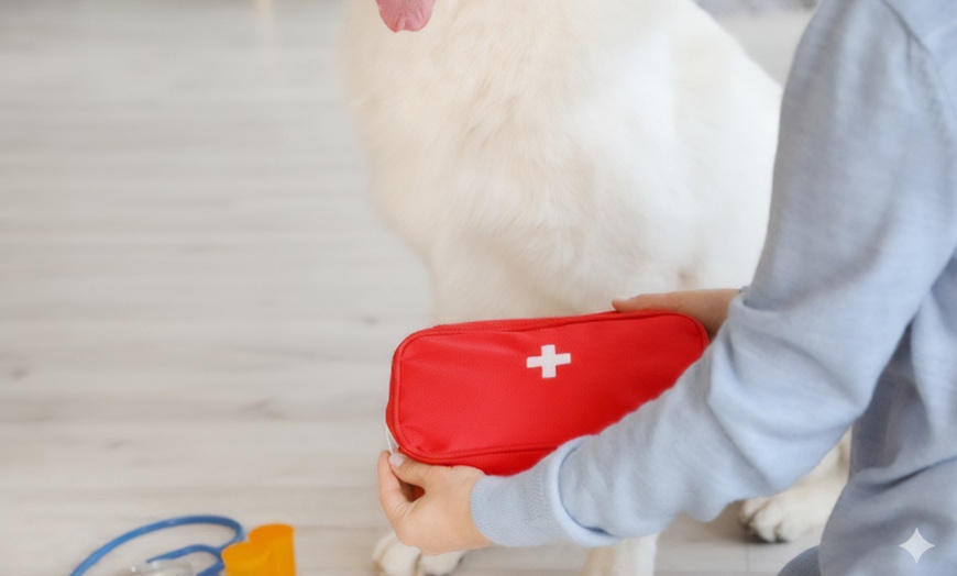 Image 2: Online Guide Dog Training and Pet First Aid Learning