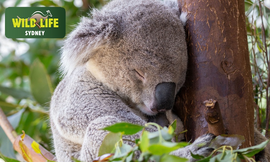 Image 2: Explore Wild Encounters with Adult and Child General Admission Tickets